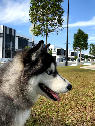 Pet Integrity HQ@EcoHub