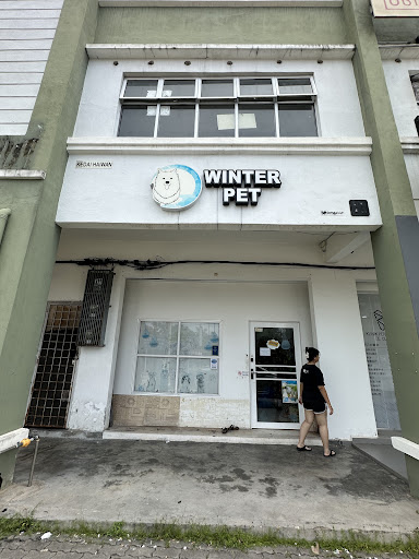 Winter Pet