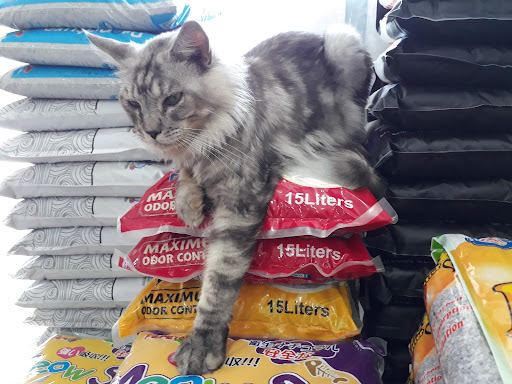 LAGUNA PET SHOP- SP LAGUNA PET SHOP- SP