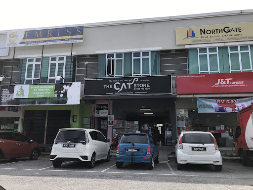 the cat store the cat store