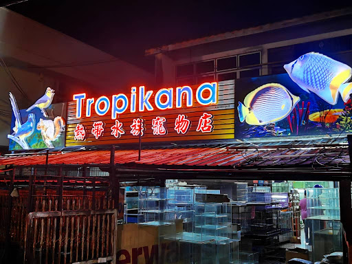 Tropikana Tropikana