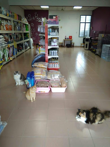 Kopi Catz