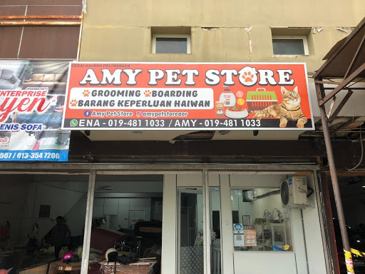 Amy Pet Store