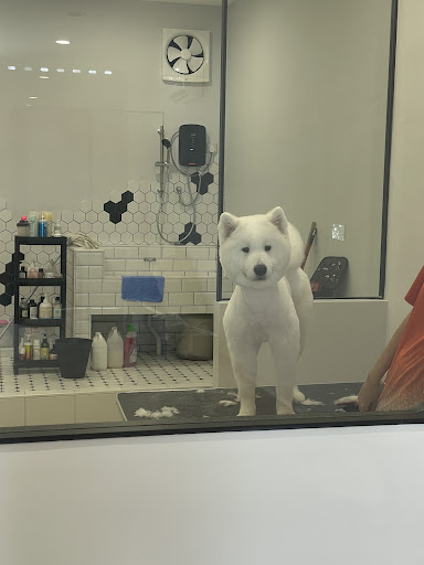 Paw Mates Pet Lifestyle Store Paw Mates Pet Lifestyle Store