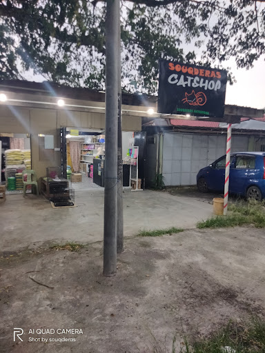 Souqderas Cat Shop Souqderas Cat Shop