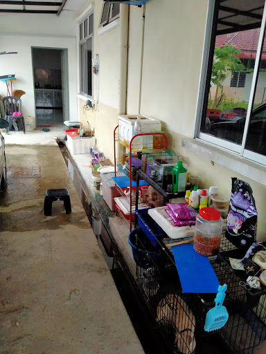TSP BETTA MALAYSIA TSP BETTA MALAYSIA