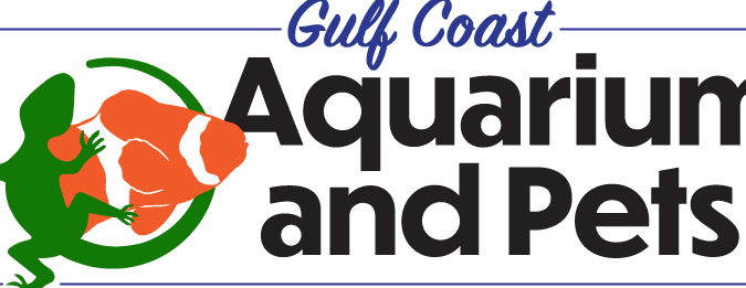 Gtcw Aquarium And Pets Shop 1 gtcw aquarium and pets shop