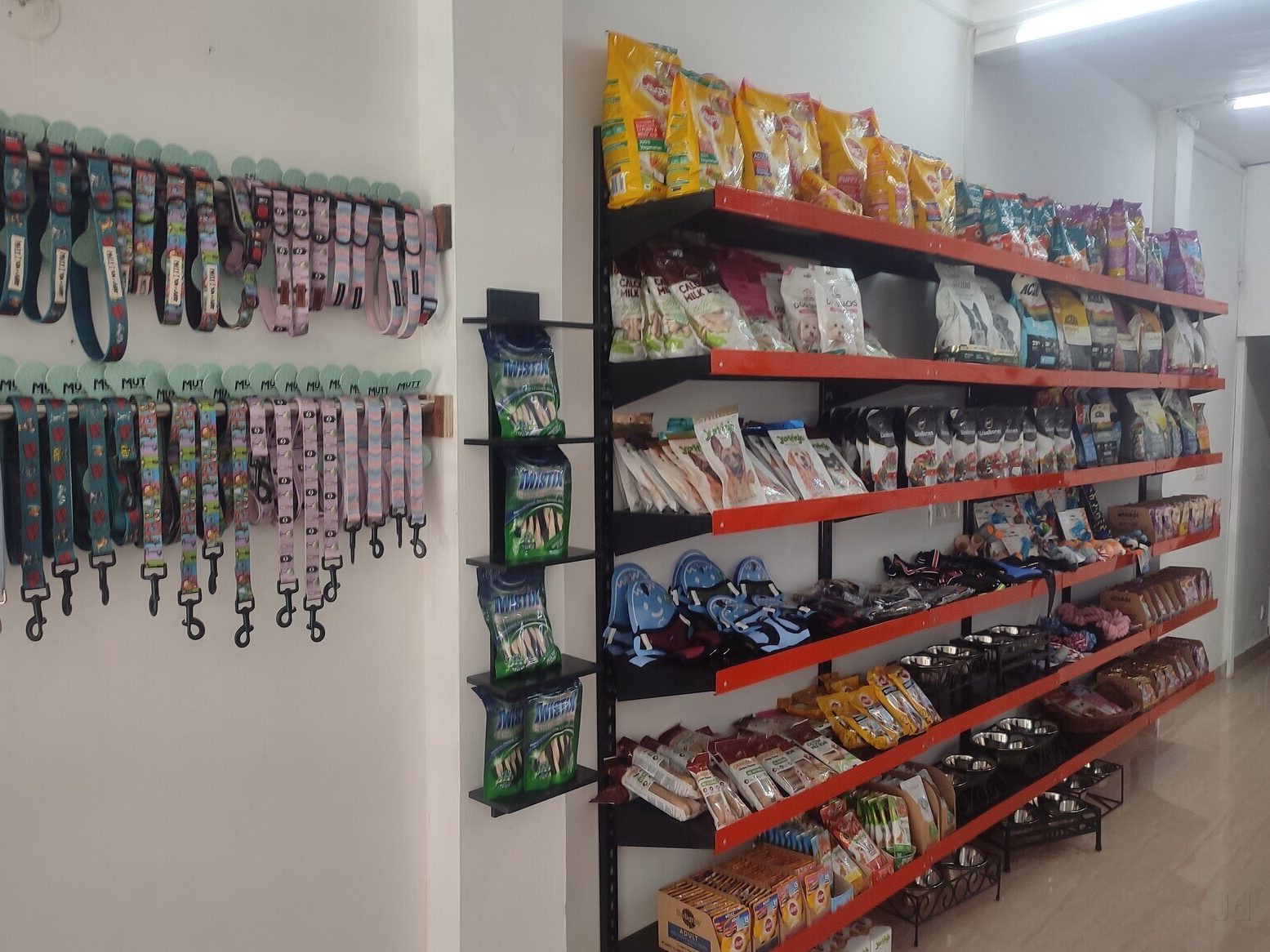 hao aquarium pet shop