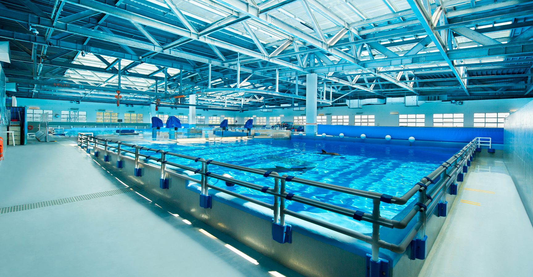 hk aquatic pet centre