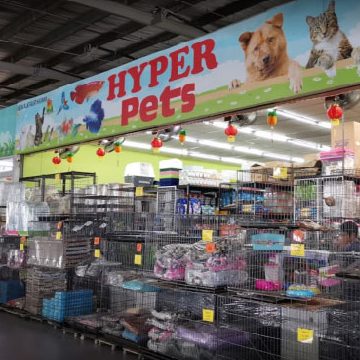 Hyper Pets Centre- NSK Skudai 1 hyper pets centre nsk skudai
