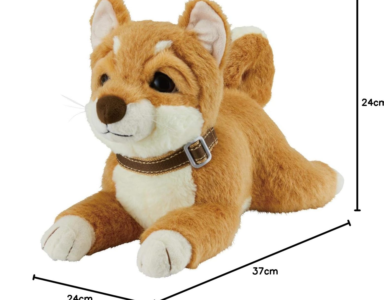 inukuma pet shop e5889de78aace5b18b