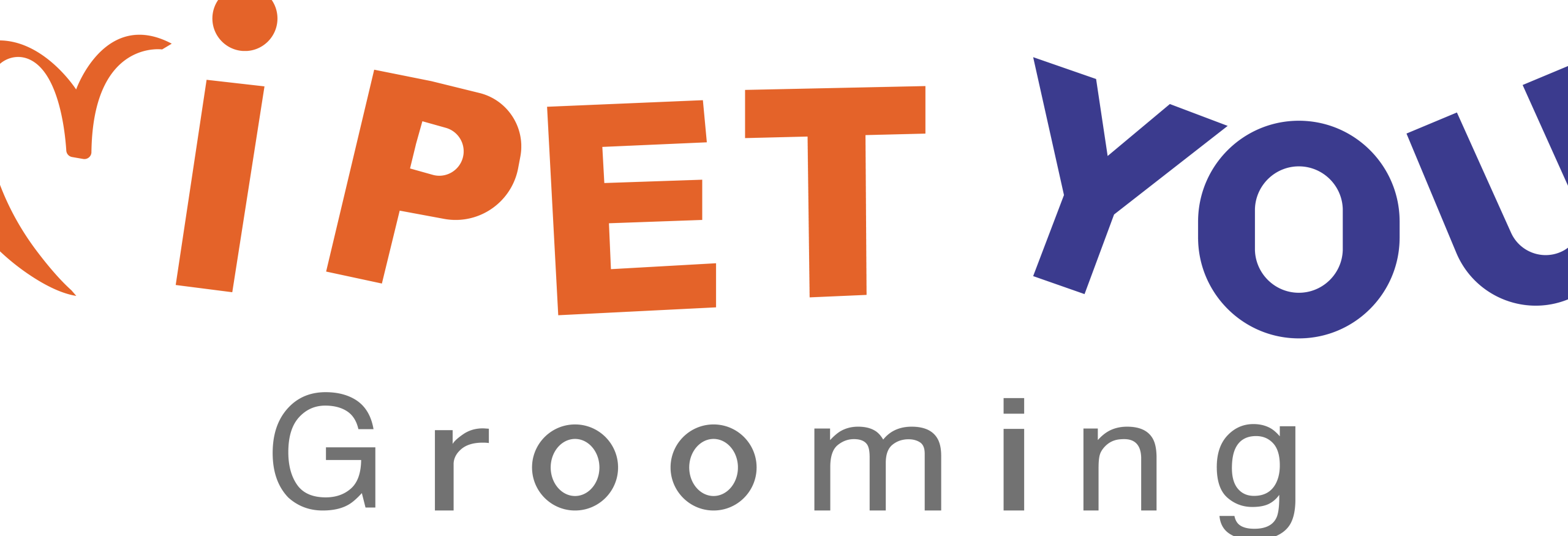 IPET GROOMING SHOP 1 ipet grooming shop scaled