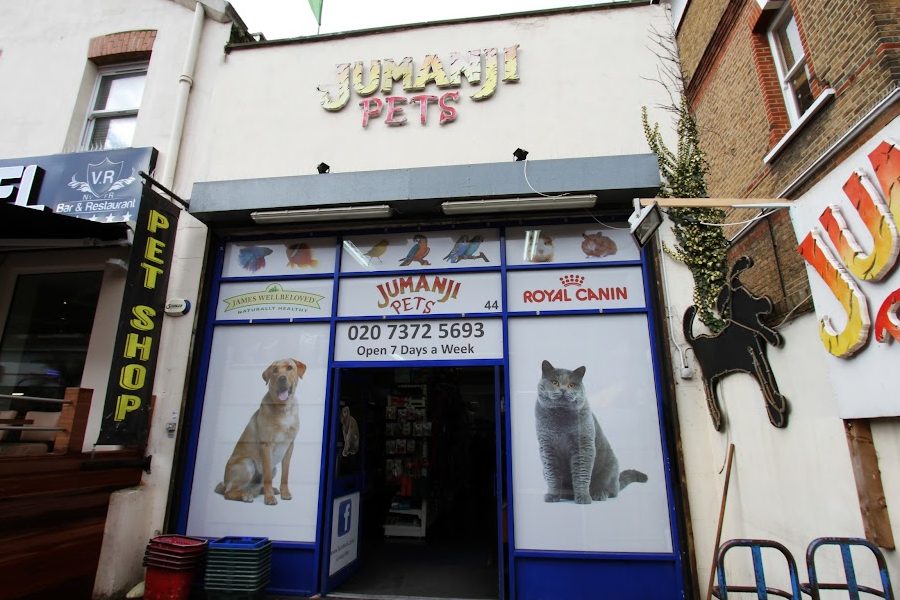 jumanji exotics reptiles pet shop bp