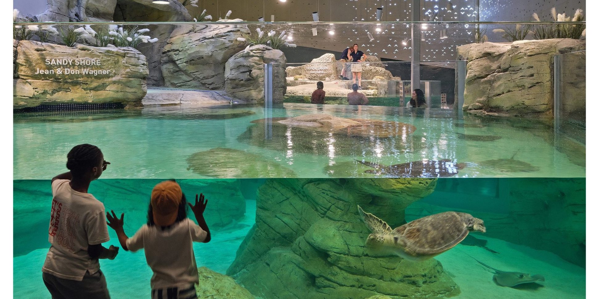 Kc Aquarium & Pets 1 kc aquarium pets