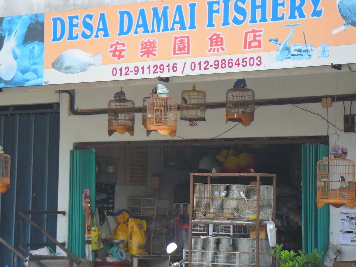 Kedai Burung & Makanan Haiwan Boon 1 kedai burung makanan haiwan boon