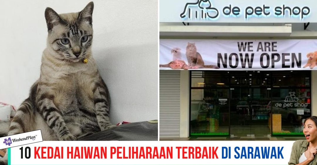 Kedai Haiwan Kesayangan Terbaik di Permatang Kuching 1 kedai haiwan kesayangan terbaik di permatang kuching