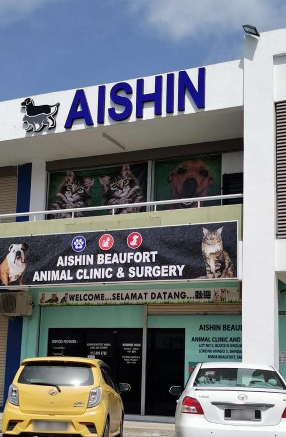 kedai haiwan peliharaan terbaik di beaufort