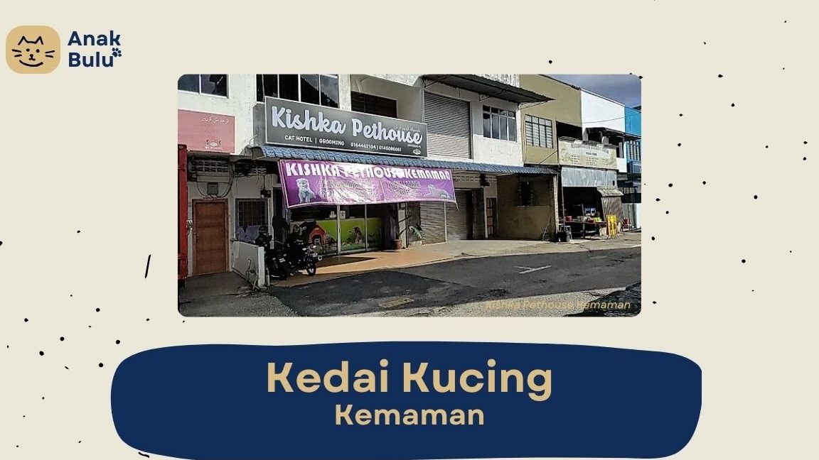 Kedai Haiwan Peliharaan Terbaik di Cukai 1 kedai haiwan peliharaan terbaik di cukai