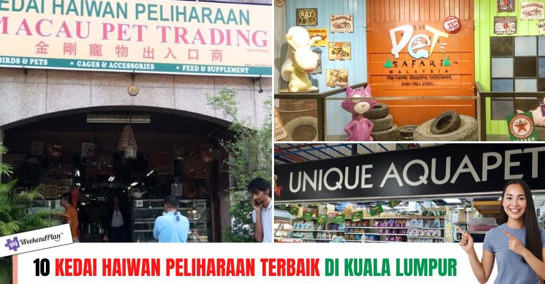 kedai haiwan peliharaan terbaik di data kakus