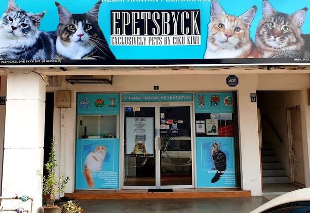 Kedai Haiwan Peliharaan Terbaik di Donggongon 1 kedai haiwan peliharaan terbaik di donggongon
