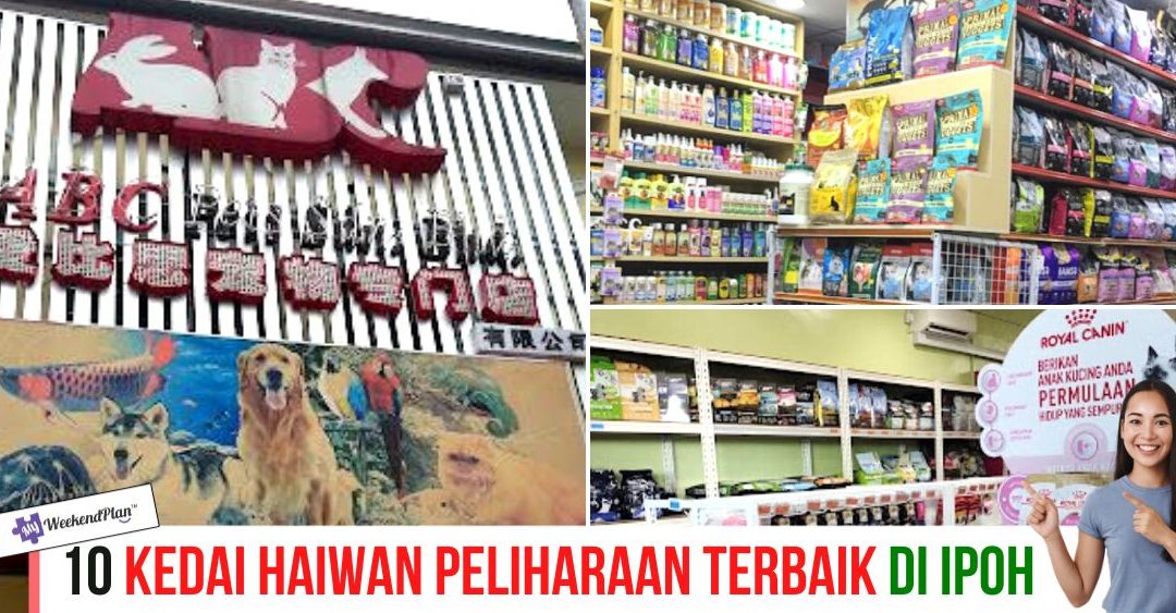 kedai haiwan peliharaan terbaik di ipoh