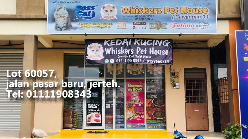 kedai haiwan peliharaan terbaik di jertih