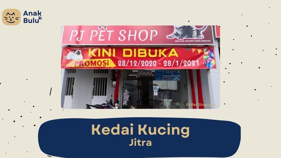 kedai haiwan peliharaan terbaik di jitra