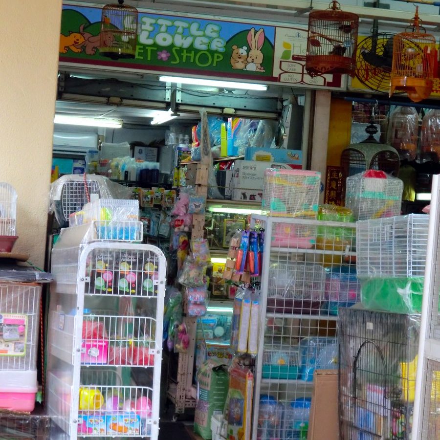 kedai haiwan peliharaan terbaik di kampung simpang renggam