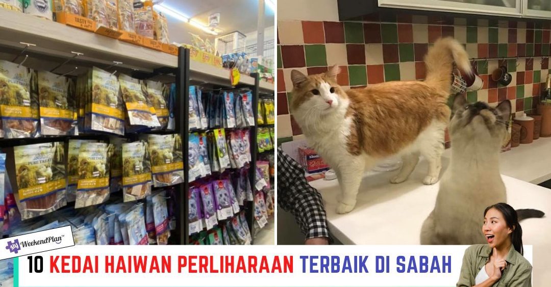 kedai haiwan peliharaan terbaik di kota kinabalu