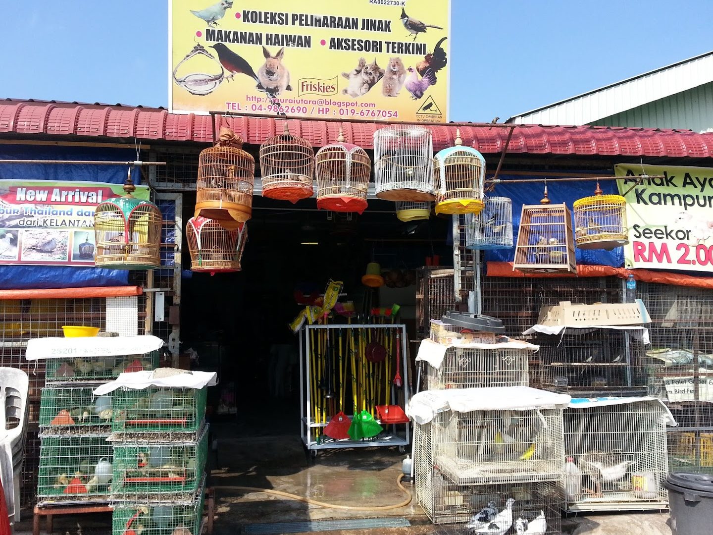 Kedai Haiwan Peliharaan Terbaik di Kuala Perlis 1 kedai haiwan peliharaan terbaik di kuala perlis