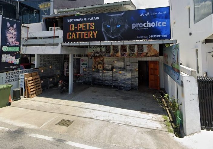 Kedai Haiwan Peliharaan Terbaik di Kuala Terengganu 1 kedai haiwan peliharaan terbaik di kuala terengganu