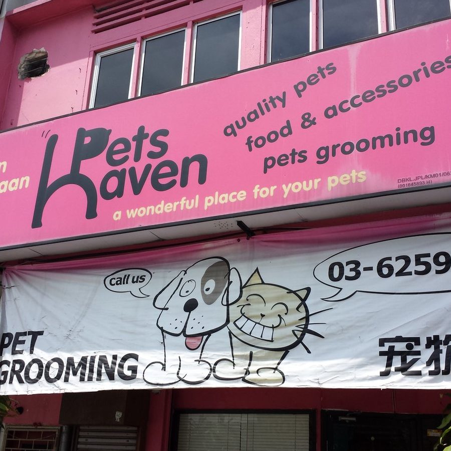 kedai haiwan peliharaan terbaik di langkawi
