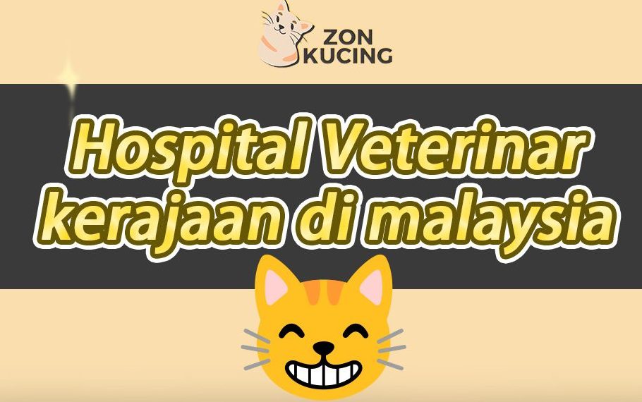 kedai haiwan peliharaan terbaik di lumut