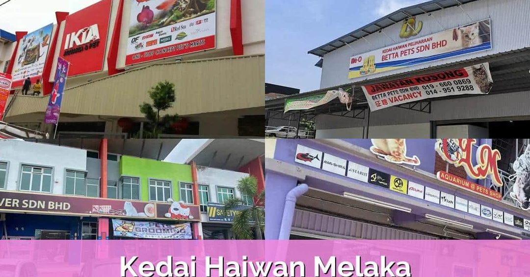 kedai haiwan peliharaan terbaik di melaka