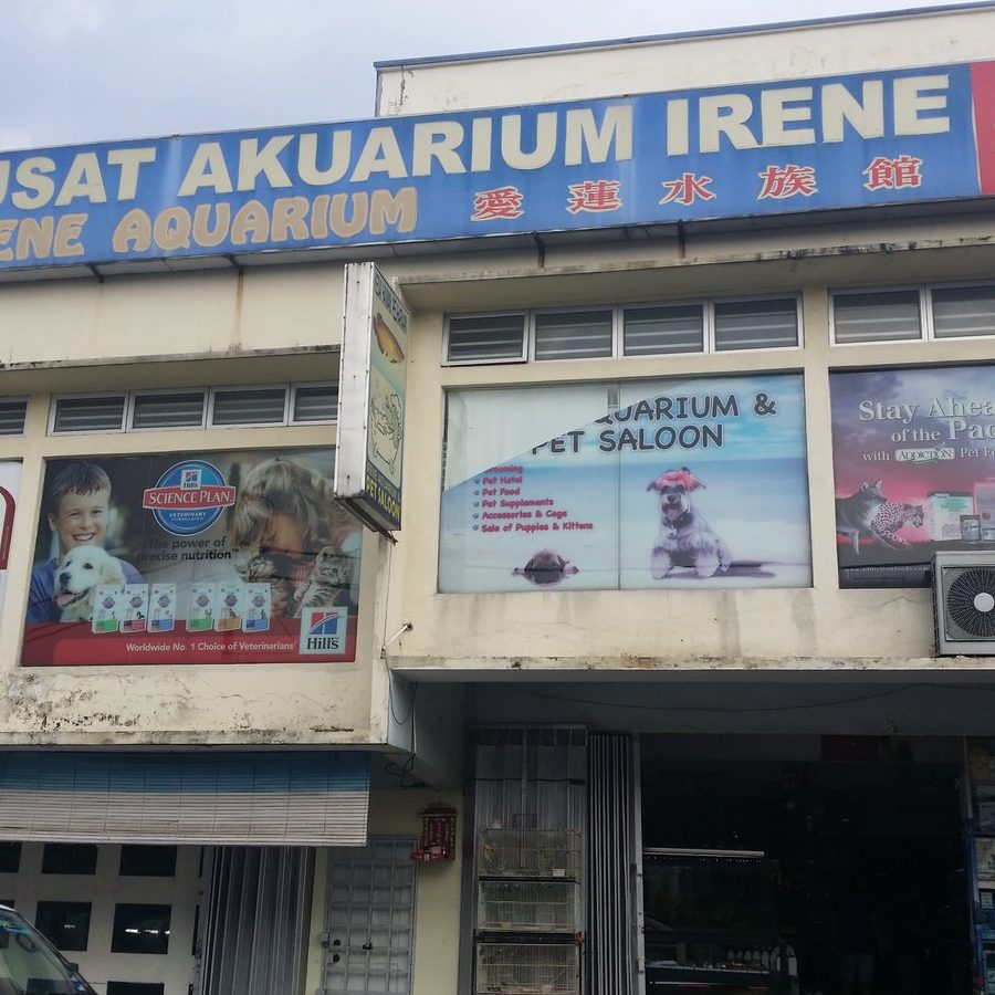 Kedai Haiwan Peliharaan Terbaik di Mentekab 1 kedai haiwan peliharaan terbaik di mentekab