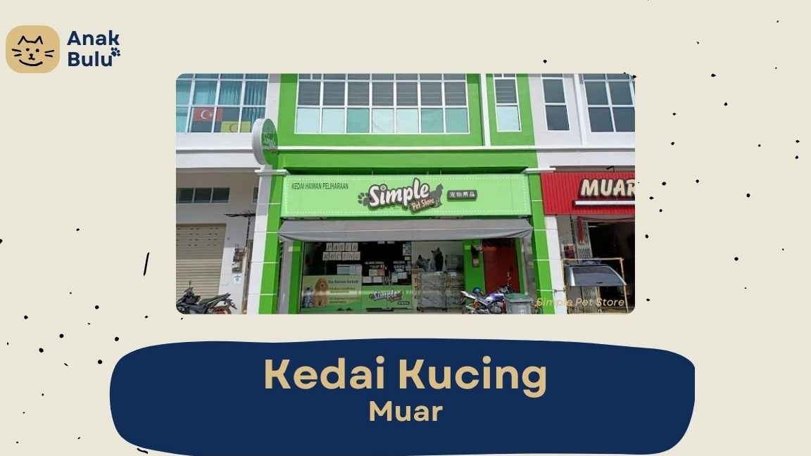 kedai haiwan peliharaan terbaik di muar