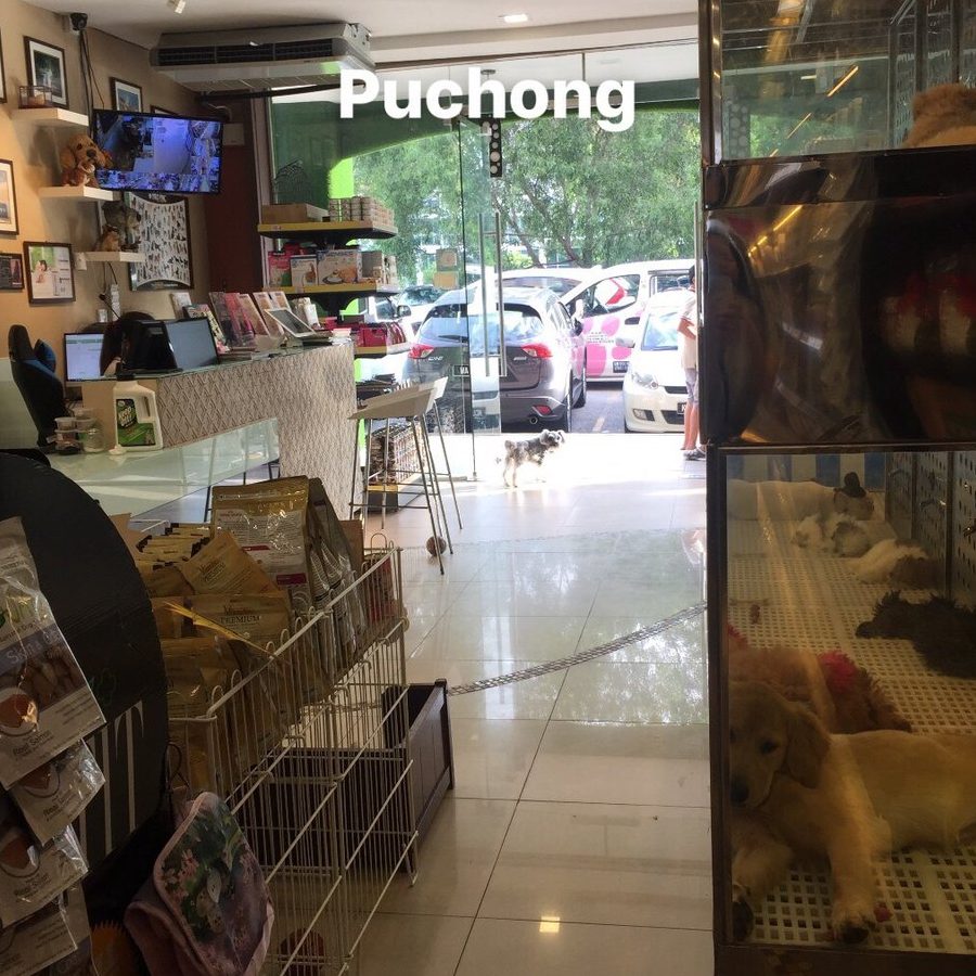kedai haiwan peliharaan terbaik di putra heights