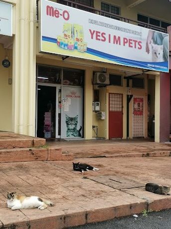 Kedai Haiwan Peliharaan Terbaik di Seremban 1 kedai haiwan peliharaan terbaik di seremban