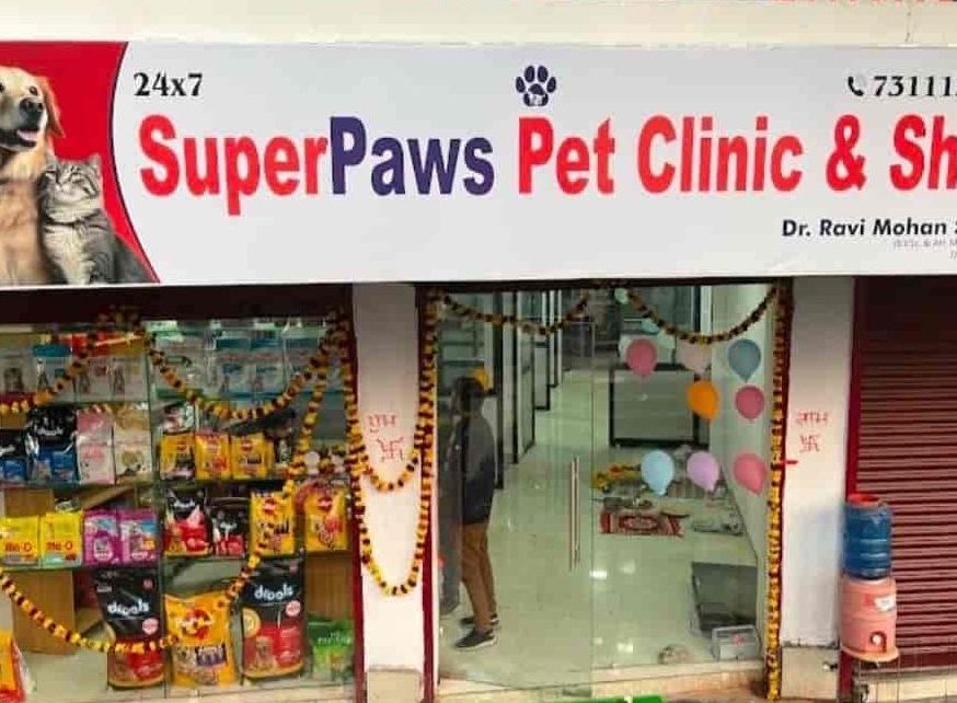 kedai haiwan peliharaan terbaik di simanggang