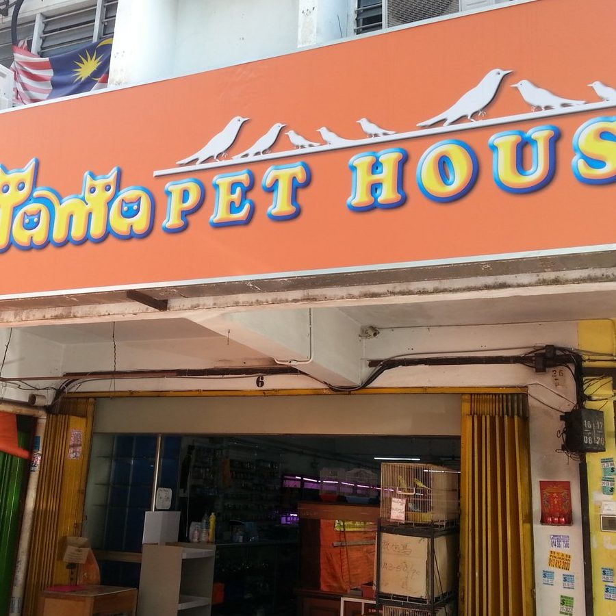 kedai haiwan peliharaan terbaik di tampin