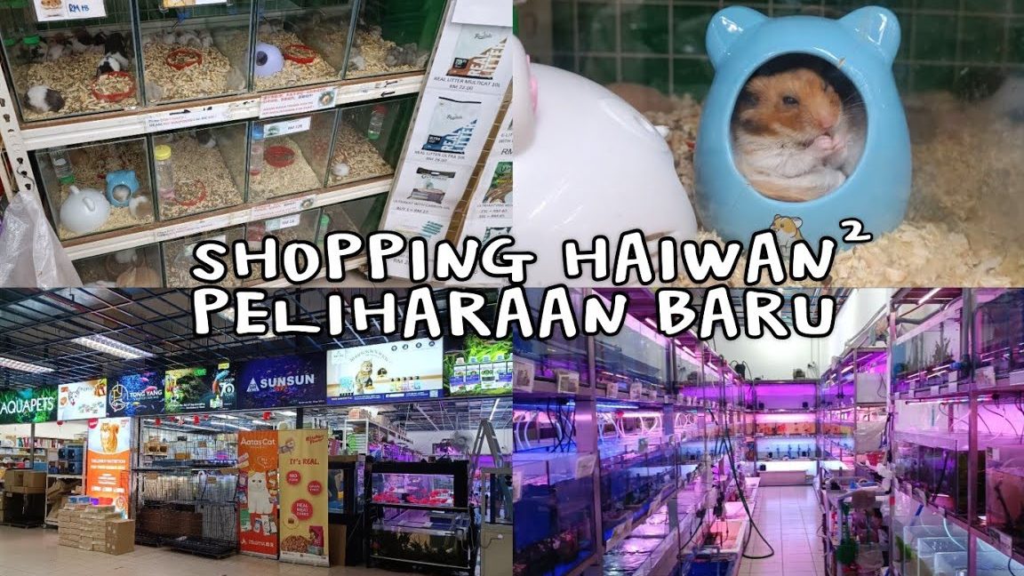 kedai haiwan terbaik di marudi