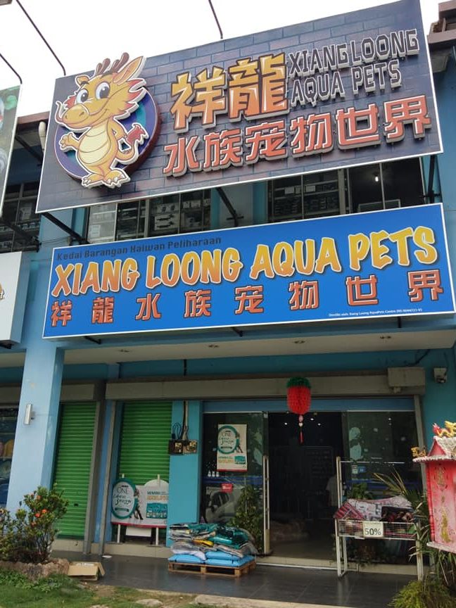 Kedai Ikan Peliharaan Lindong 1 kedai ikan peliharaan lindong