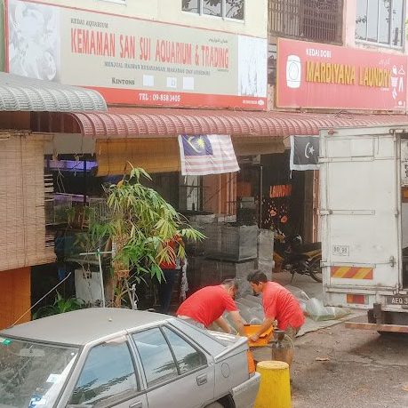 kemaman san sui aquarium trading