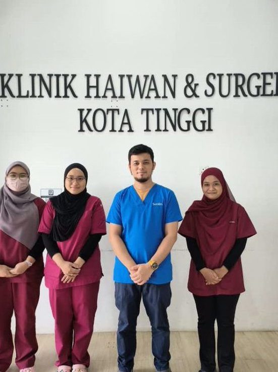 KLINIK HAIWAN & SURGERI KOTA TINGGI 1 klinik haiwan surgeri kota tinggi