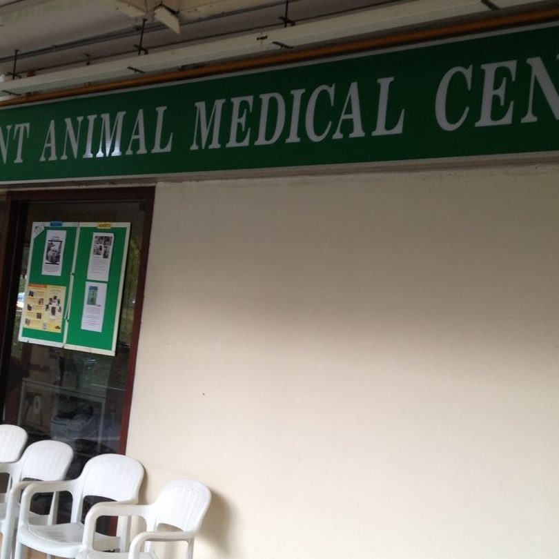 klinik kucing kulaijaya