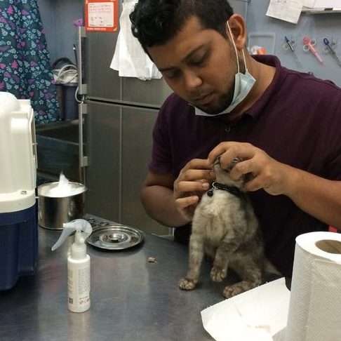 klinik veterinar glory