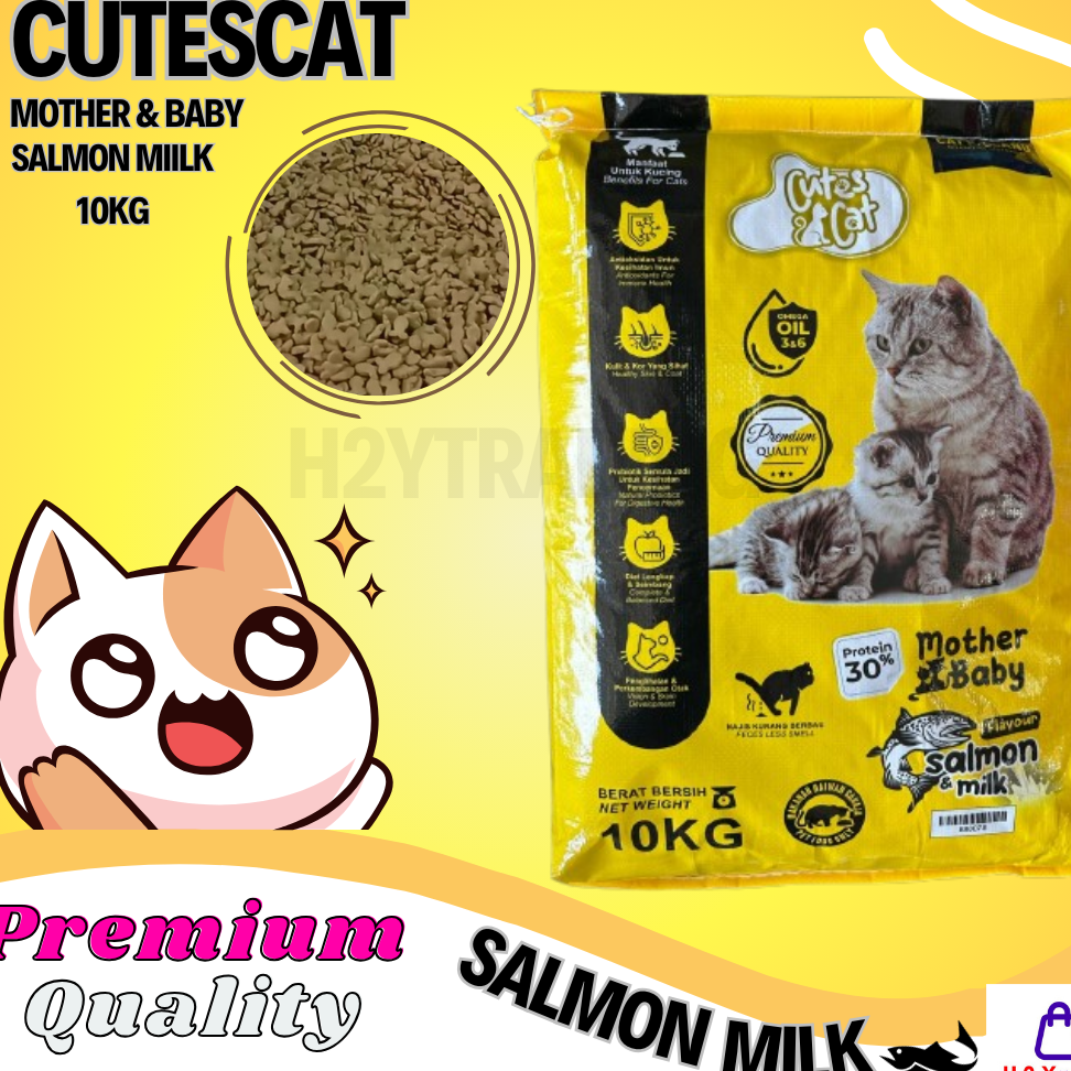 Kucing Anakku Trading 1 kucing anakku trading