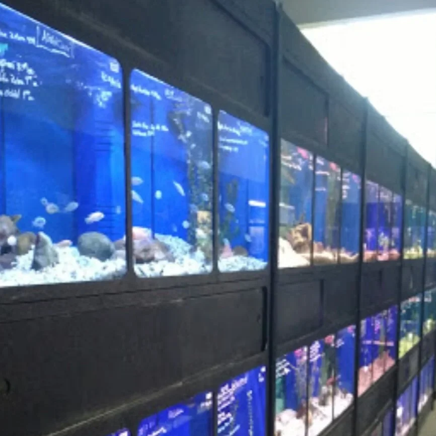 long foo aquarium centre