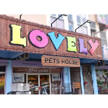 lovely pets house
