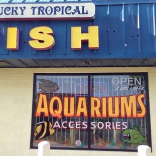 Lucky Tropical Fish Centre 1 lucky tropical fish centre